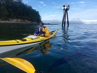Bull Kelp Kayak Surveys
