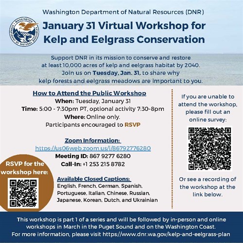 DNR 1.31 Kelp And Eelgrass Virtual Workshop Flyer